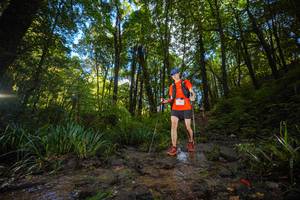 BIB: 
                            <button type="button" onclick="openModal(19230178)" class="btn btn-primary btn-sm float-right btn-popup" data-toggle="modal" data-target=".modal-high-quality">
                        <i class="fas fa-shopping-cart"></i> Add to Cart
                    </button>
                                            <button type="button" onclick="isThisMe(19230178, true)" class="btn btn-success btn-sm float-right btn-popup btn-isme hidden" data-toggle="tooltip" data-placement="bottom" title="นี่คือรูปของคุณใช่ไหม คลิกที่นี่เพื่อเอาเข้าอัลบั้ม">
                        <i class="fas fa-plus"></i> Add to album
                    </button>
                    <button type="button" onclick="isThisMe(19230178, false)" class="btn btn-warning btn-sm float-right btn-popup btn-isnotme hidden">
                        <i class="fas fa-ban"></i> Remove from album
                    </button>